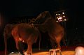 2010_08_07_cirque_ 117